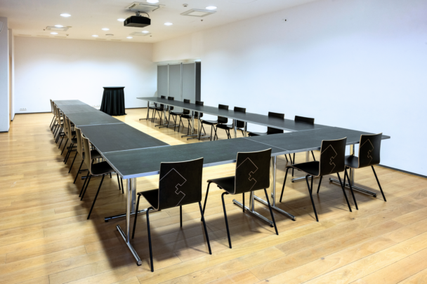 ERM Ilmar Mannineni auditoorium